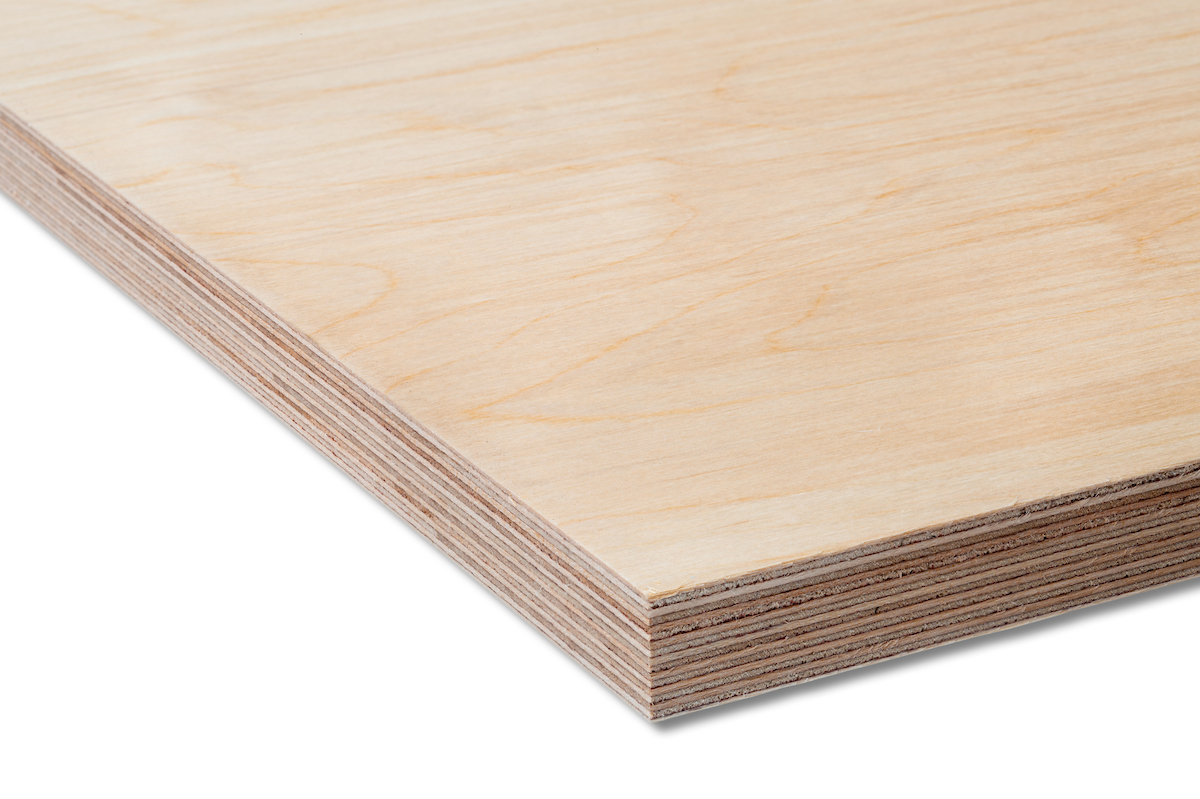 Birch Ply