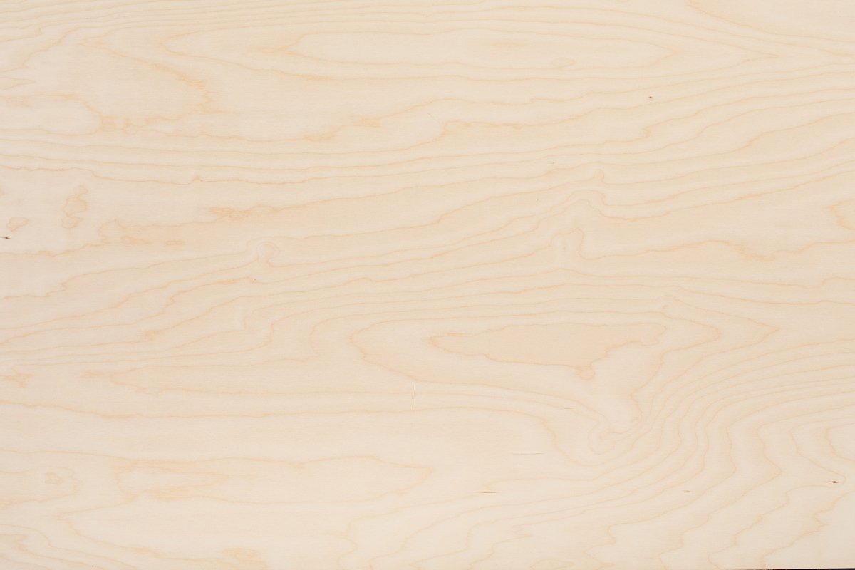 Birch Ply